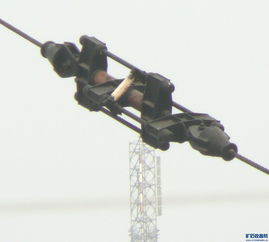 京东双桥与天线3.1 解析Powered by Discuz的天线技术应用